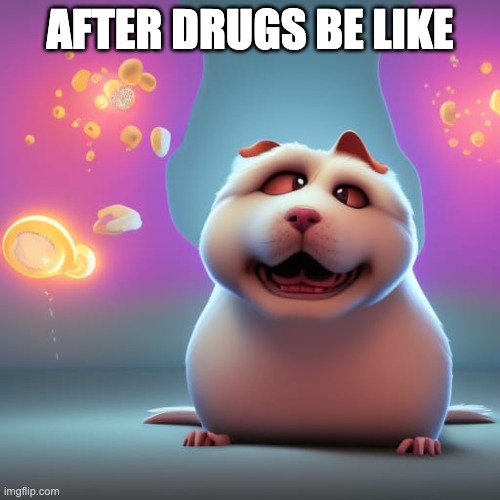 Drugs | AFTER DRUGS BE LIKE | image tagged in funny memes,crazy dog | made w/ Imgflip meme maker