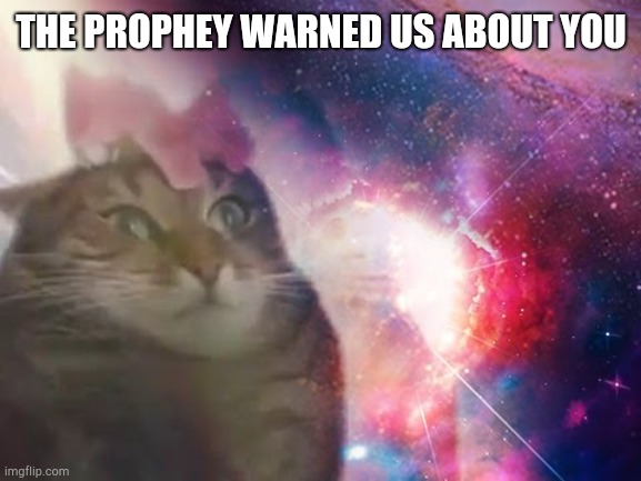 the prophecy is true cat | THE PROPHEY WARNED US ABOUT YOU | image tagged in the prophecy is true cat | made w/ Imgflip meme maker