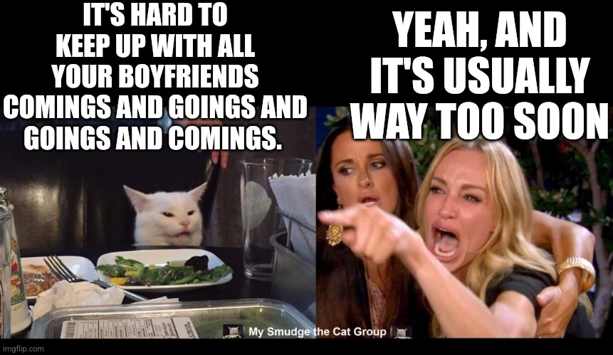 IT'S HARD TO KEEP UP WITH ALL YOUR BOYFRIENDS COMINGS AND GOINGS AND GOINGS AND COMINGS. YEAH, AND IT'S USUALLY WAY TOO SOON | image tagged in smudge the cat | made w/ Imgflip meme maker