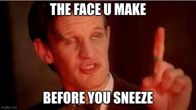 sneeze | THE FACE U MAKE; BEFORE YOU SNEEZE | image tagged in random,hi,idk | made w/ Imgflip meme maker