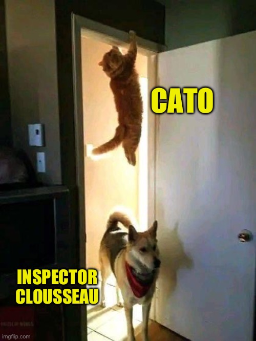 Pink Panther | CATO; INSPECTOR CLOUSSEAU | image tagged in movie | made w/ Imgflip meme maker
