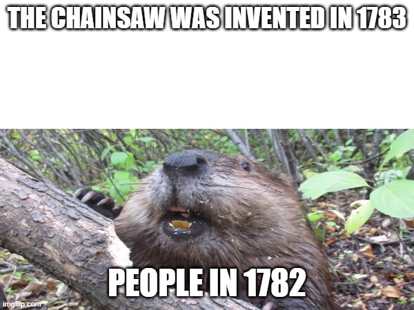 1872 | THE CHAINSAW WAS INVENTED IN 1783; PEOPLE IN 1782 | image tagged in fun,meme,history | made w/ Imgflip meme maker