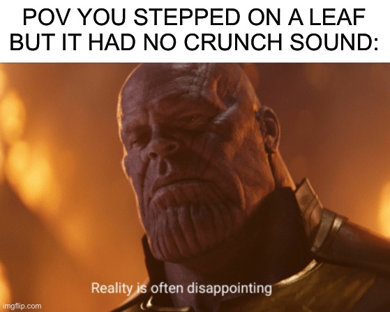 Fax | POV YOU STEPPED ON A LEAF BUT IT HAD NO CRUNCH SOUND: | image tagged in memes,funny,relatable,dissapointed | made w/ Imgflip meme maker