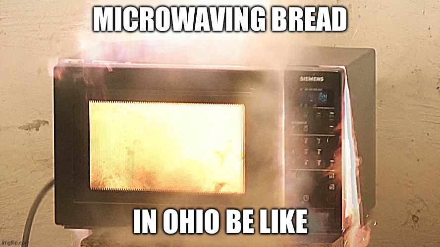 Microwaving in Ohio | MICROWAVING BREAD; IN OHIO BE LIKE | image tagged in ohio,memes,funny,trending,explosion | made w/ Imgflip meme maker