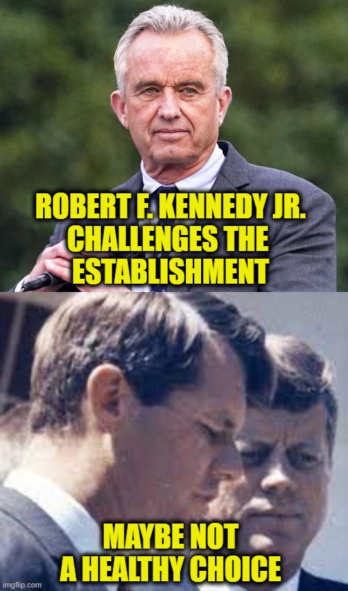 Dead Kennedys | ROBERT F. KENNEDY JR.
CHALLENGES THE 
ESTABLISHMENT; MAYBE NOT
A HEALTHY CHOICE | image tagged in kennedy | made w/ Imgflip meme maker