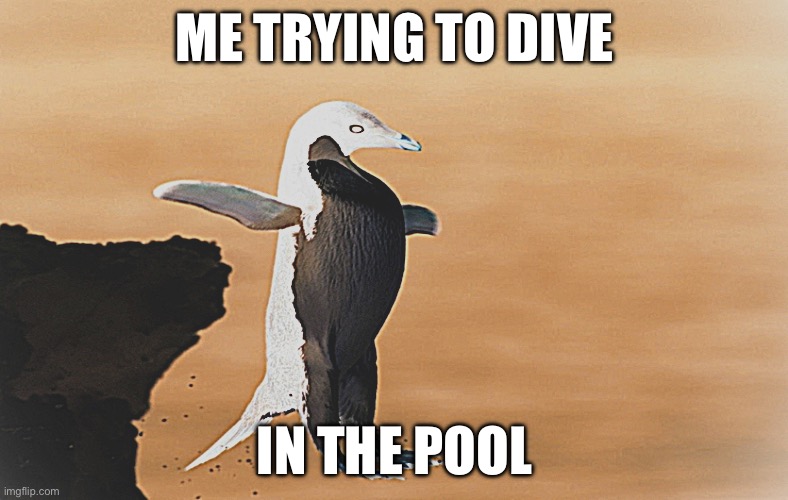 Penguin | ME TRYING TO DIVE; IN THE POOL | image tagged in penguin,memes,trending,funny,cool,swimming | made w/ Imgflip meme maker