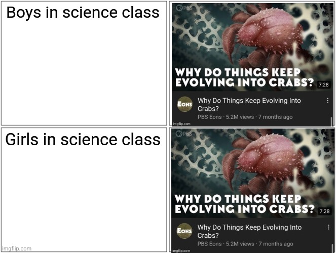 Blank Comic Panel 2x2 Meme | Boys in science class Girls in science class | image tagged in memes,blank comic panel 2x2 | made w/ Imgflip meme maker