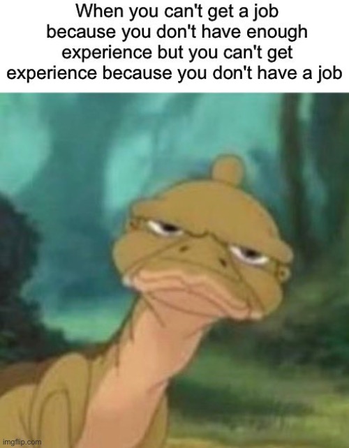 image tagged in memes | made w/ Imgflip meme maker