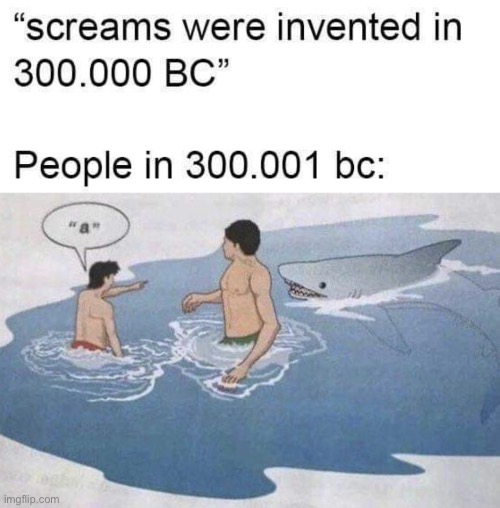 image tagged in memes | made w/ Imgflip meme maker