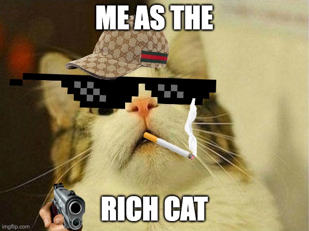 Scared Cat Meme | ME AS THE; RICH CAT | image tagged in memes,scared cat | made w/ Imgflip meme maker