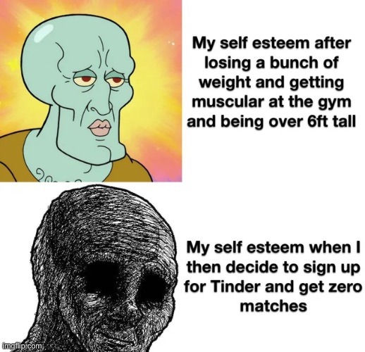 image tagged in memes | made w/ Imgflip meme maker