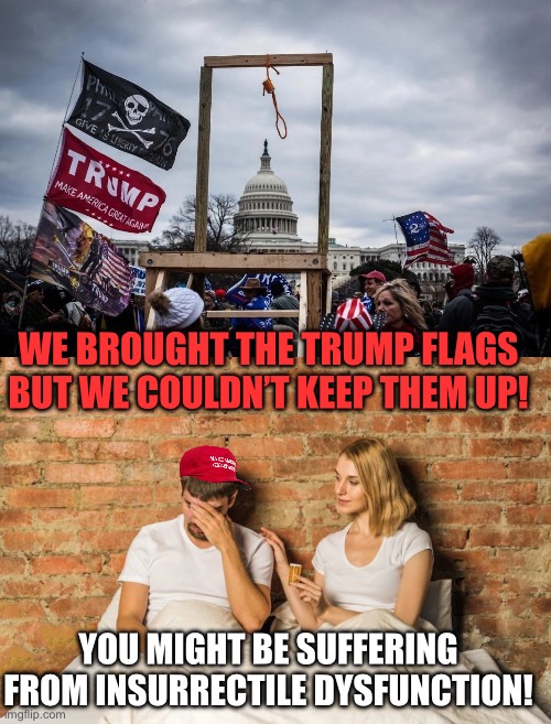 WE BROUGHT THE TRUMP FLAGS BUT WE COULDN’T KEEP THEM UP! YOU MIGHT BE SUFFERING FROM INSURRECTILE DYSFUNCTION! | image tagged in trump insurrection jan 6 2021,impotence | made w/ Imgflip meme maker