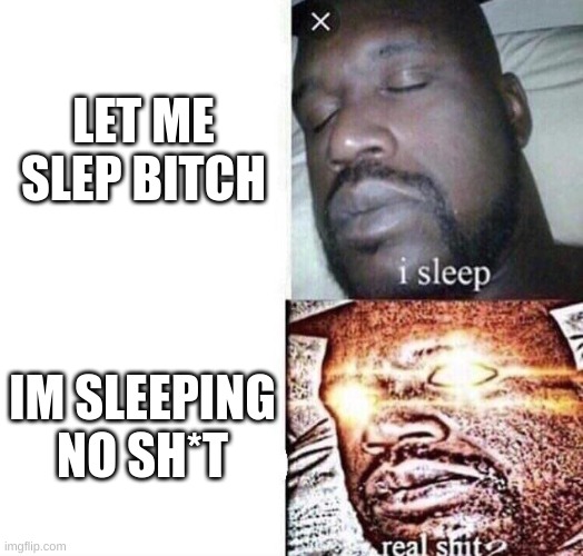 i sleep real shit | LET ME SLEP BITCH; IM SLEEPING NO SH*T | image tagged in i sleep real shit | made w/ Imgflip meme maker