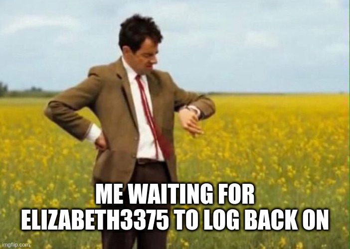 that user that you guys hate for being kind of woke | ME WAITING FOR ELIZABETH3375 TO LOG BACK ON | image tagged in elizabeth3375,if u are,seeing this,come,back,on | made w/ Imgflip meme maker