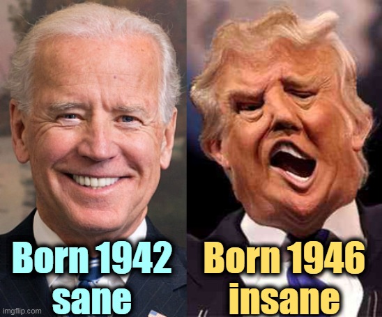 Hey, they're both old! But only one of them is playing with a full deck. | Born 1942
sane; Born 1946
insane | image tagged in biden solid stable trump acid drugs,joe biden,together,donald trump,insane,old | made w/ Imgflip meme maker