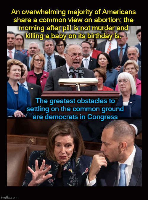 Abortion; the common ground | An overwhelming majority of Americans
share a common view on abortion; the
morning after pill is not murder and
killing a baby on its birthday is. The greatest obstacles to
settling on the common ground
are democrats in Congress | image tagged in abortion,extremists,congress,right to life,pro abortion | made w/ Imgflip meme maker