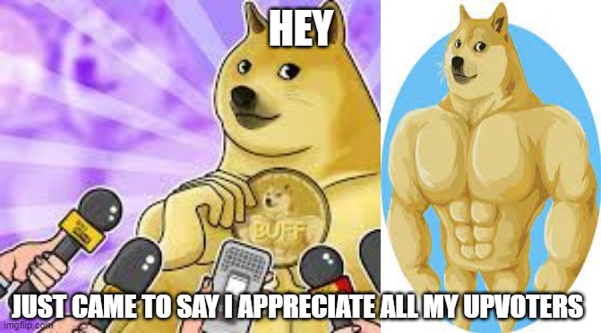 Buff Doge Coin Price Prediction | HEY; JUST CAME TO SAY I APPRECIATE ALL MY UPVOTERS | image tagged in buff doge coin price prediction | made w/ Imgflip meme maker