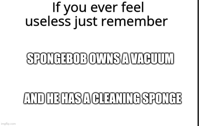 His house has a sand floor, and he is a sponge | SPONGEBOB OWNS A VACUUM; AND HE HAS A CLEANING SPONGE | image tagged in if you ever feel useless remember this,useless stuff,spongebob | made w/ Imgflip meme maker