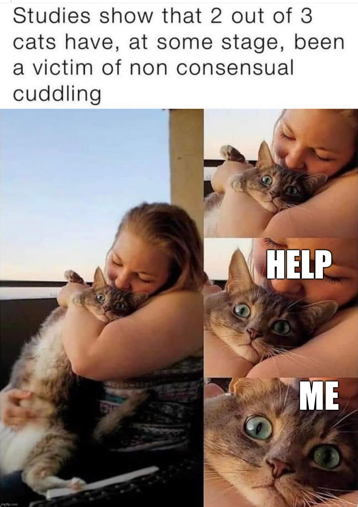 Not more cuddles | HELP; ME | image tagged in cats,help me | made w/ Imgflip meme maker