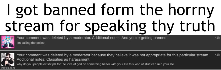 We need the site mods NOW!!!! | I got banned form the horrny stream for speaking thy truth | image tagged in crusader | made w/ Imgflip meme maker