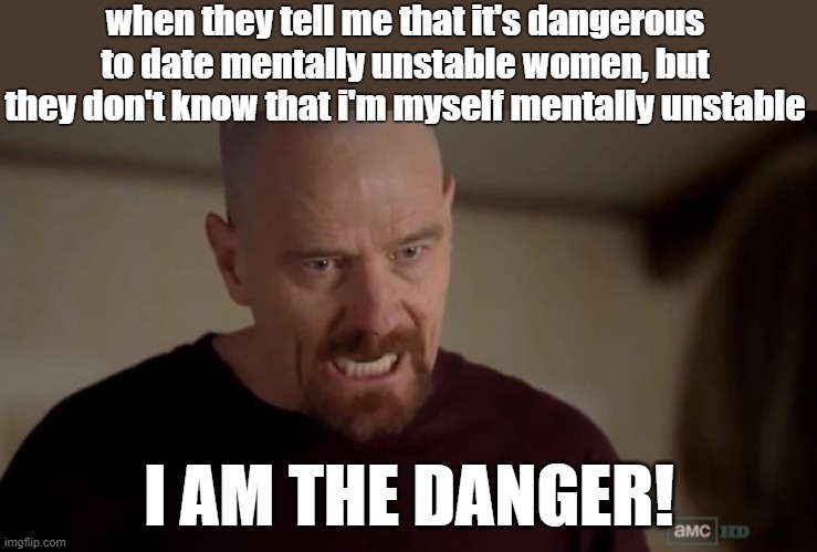 schizophrenia go brrrr | when they tell me that it's dangerous to date mentally unstable women, but they don't know that i'm myself mentally unstable; I AM THE DANGER! | image tagged in i am the one who knocks | made w/ Imgflip meme maker