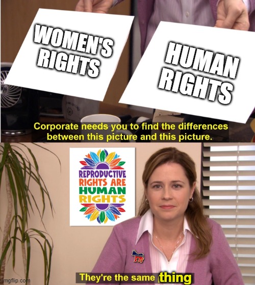 Pam is right | HUMAN RIGHTS; WOMEN'S RIGHTS; thing | image tagged in democrat pam | made w/ Imgflip meme maker