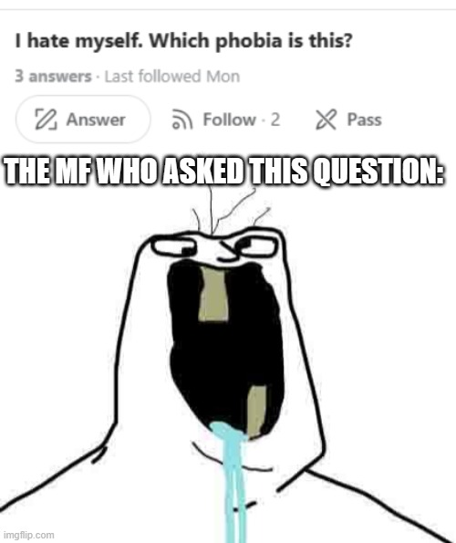 THE MF WHO ASKED THIS QUESTION: | image tagged in a really stupid brainlet | made w/ Imgflip meme maker