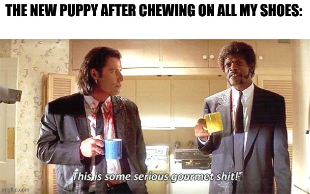pup will eat anything. | THE NEW PUPPY AFTER CHEWING ON ALL MY SHOES: | image tagged in this is some serious gourmet shit,pup | made w/ Imgflip meme maker