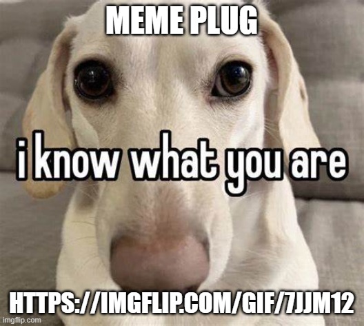 MEME PLUG; HTTPS://IMGFLIP.COM/GIF/7JJM12 | made w/ Imgflip meme maker