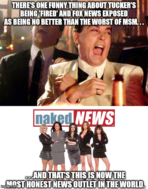 Except for the nude thing we never hear anything really controversial like what happened with Lemon and Tucker. | THERE'S ONE FUNNY THING ABOUT TUCKER'S BEING 'FIRED' AND FOX NEWS EXPOSED AS BEING NO BETTER THAN THE WORST OF MSM. . . . . .AND THAT'S THIS IS NOW THE MOST HONEST NEWS OUTLET IN THE WORLD. | image tagged in memes,good fellas hilarious,msm lies | made w/ Imgflip meme maker