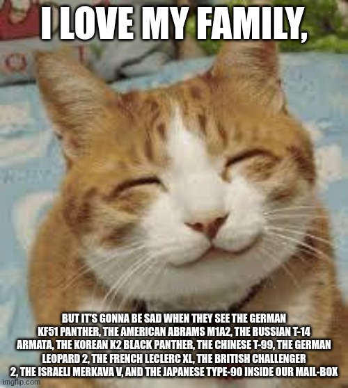 Happy Cat | I LOVE MY FAMILY, BUT IT'S GONNA BE SAD WHEN THEY SEE THE GERMAN KF51 PANTHER, THE AMERICAN ABRAMS M1A2, THE RUSSIAN T-14 ARMATA, THE KOREAN K2 BLACK PANTHER, THE CHINESE T-99, THE GERMAN LEOPARD 2, THE FRENCH LECLERC XL, THE BRITISH CHALLENGER 2, THE ISRAELI MERKAVA V, AND THE JAPANESE TYPE-90 INSIDE OUR MAIL-BOX | image tagged in happy cat | made w/ Imgflip meme maker