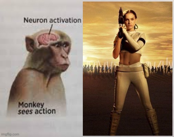 need i say more | image tagged in neuron activation,padme | made w/ Imgflip meme maker