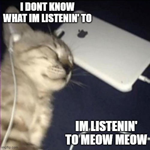 I DONT KNOW WHAT IM LISTENIN' TO; IM LISTENIN' TO MEOW MEOW | image tagged in cats,music | made w/ Imgflip meme maker