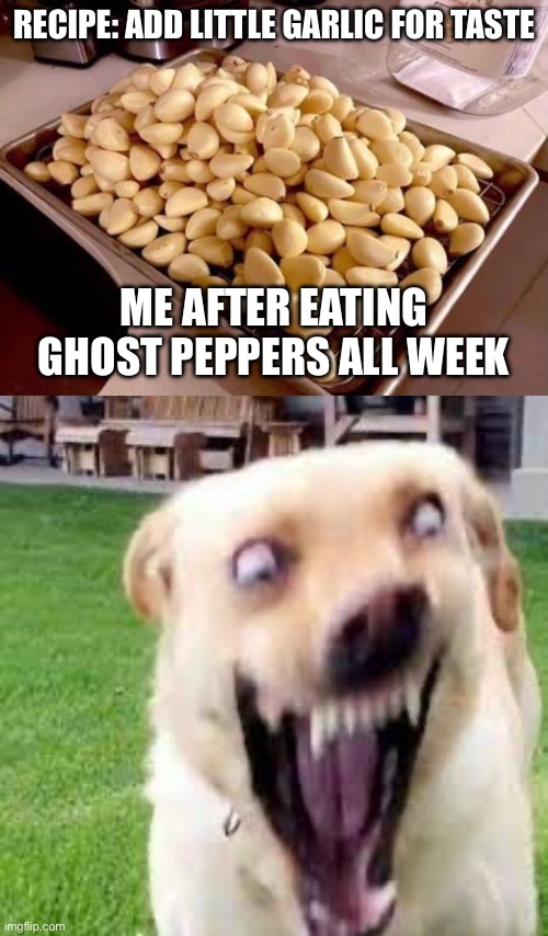 Ewwww | RECIPE: ADD LITTLE GARLIC FOR TASTE; ME AFTER EATING GHOST PEPPERS ALL WEEK | image tagged in garlic,meme | made w/ Imgflip meme maker