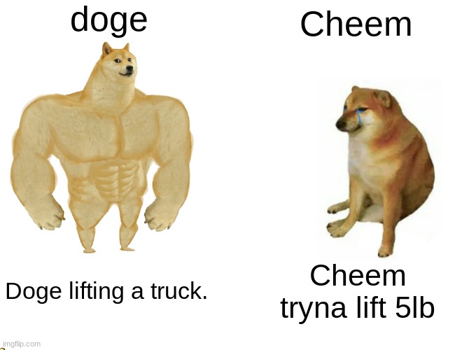 DOGE VS INCREDIBLY BUFF CHEEMS | doge; Cheem; Doge lifting a truck. Cheem tryna lift 5lb | image tagged in memes,buff doge vs cheems | made w/ Imgflip meme maker