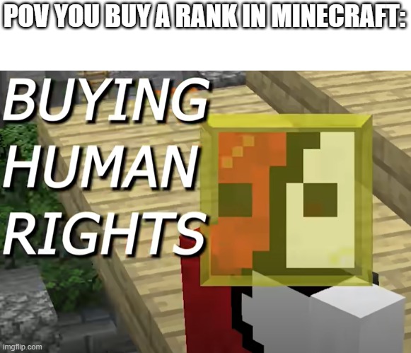 hypixel | POV YOU BUY A RANK IN MINECRAFT: | image tagged in minecraft,buying human rights,cave game,hypixel,skyblock,youtube | made w/ Imgflip meme maker