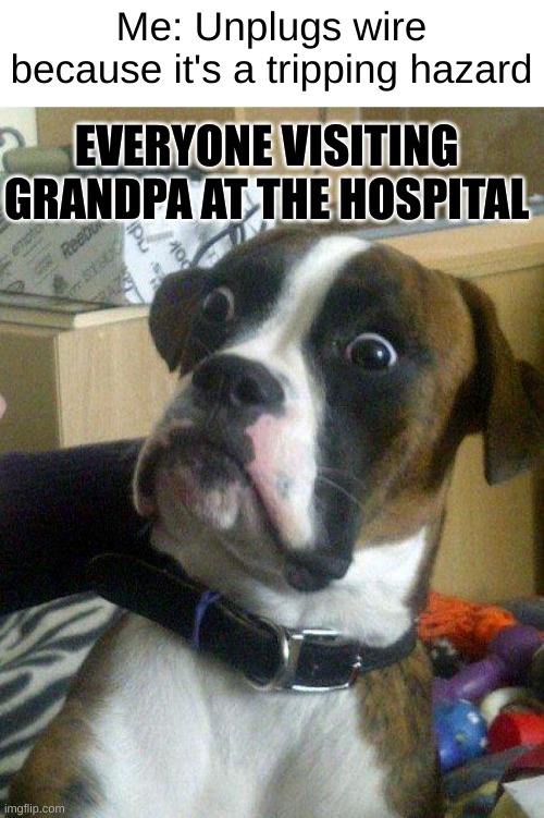 Revenge for unplugging my ps5 grandpa *laughs* | Me: Unplugs wire because it's a tripping hazard; EVERYONE VISITING GRANDPA AT THE HOSPITAL | image tagged in blankie the shocked dog | made w/ Imgflip meme maker