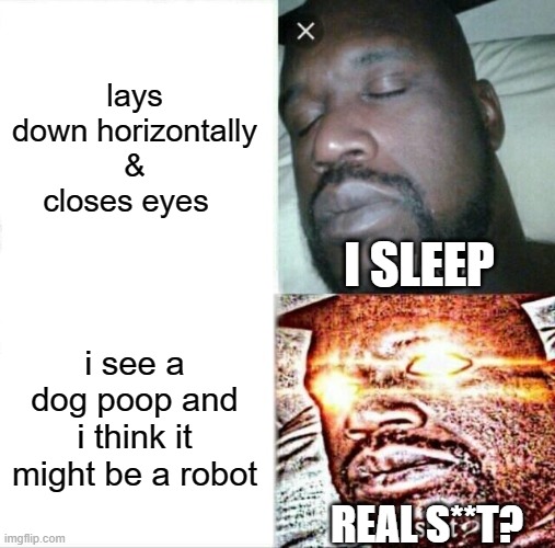 literal meanings | lays down horizontally & closes eyes; I SLEEP; i see a dog poop and i think it might be a robot; REAL S**T? | image tagged in memes,sleeping shaq | made w/ Imgflip meme maker