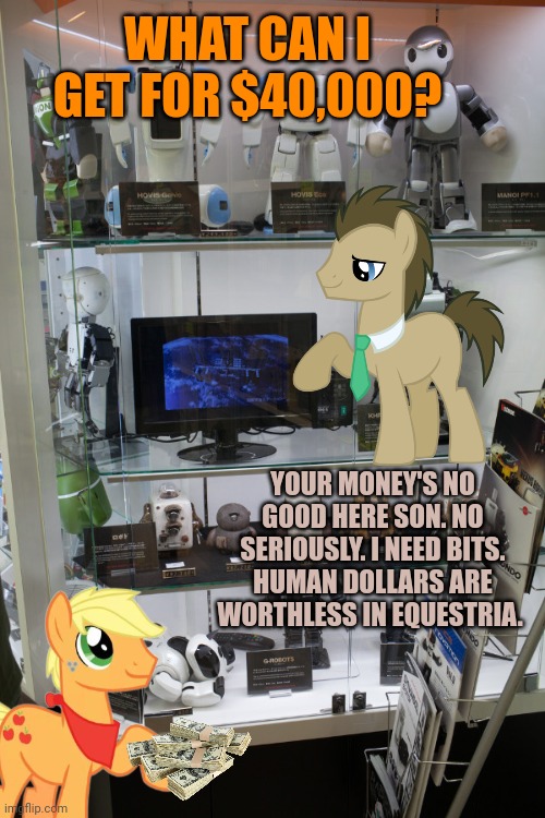 WHAT CAN I GET FOR $40,000? YOUR MONEY'S NO GOOD HERE SON. NO SERIOUSLY. I NEED BITS. HUMAN DOLLARS ARE WORTHLESS IN EQUESTRIA. | made w/ Imgflip meme maker