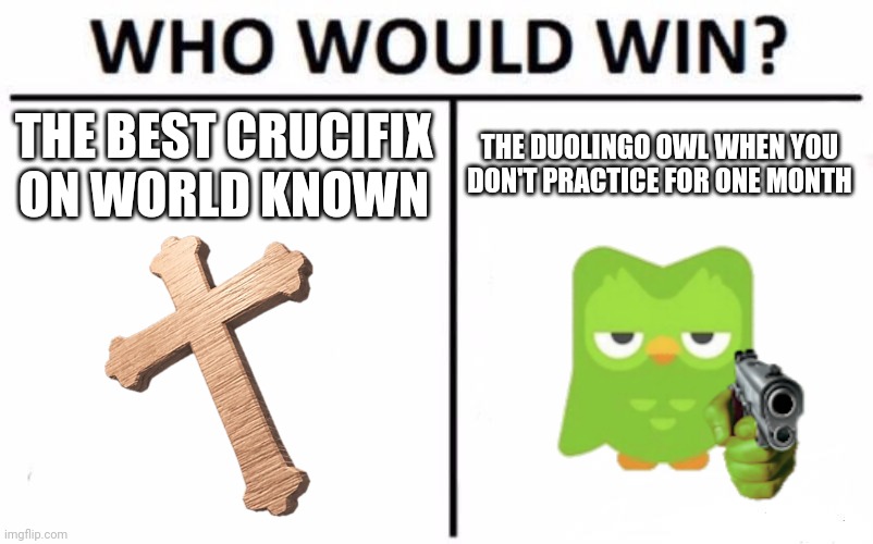 who would win? | THE BEST CRUCIFIX ON WORLD KNOWN; THE DUOLINGO OWL WHEN YOU DON'T PRACTICE FOR ONE MONTH | image tagged in memes,who would win | made w/ Imgflip meme maker