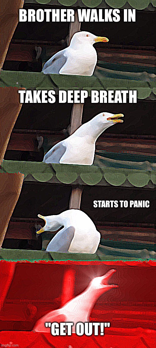 Inhaling Seagull | BROTHER WALKS IN; TAKES DEEP BREATH; STARTS TO PANIC; "GET OUT!" | image tagged in memes,inhaling seagull | made w/ Imgflip meme maker