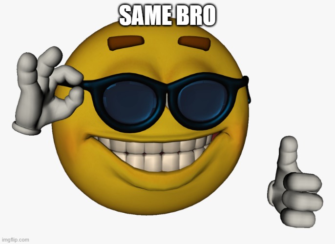 Cool guy emoji | SAME BRO | image tagged in cool guy emoji | made w/ Imgflip meme maker