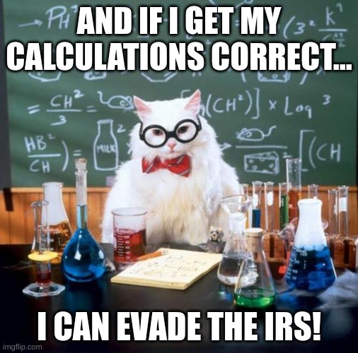 when your teacher is correct! | AND IF I GET MY CALCULATIONS CORRECT... I CAN EVADE THE IRS! | image tagged in memes,chemistry cat | made w/ Imgflip meme maker