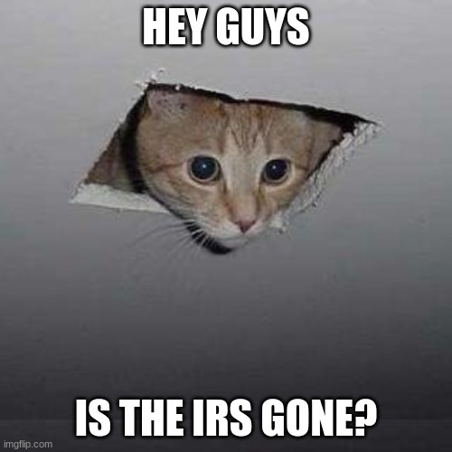 keep hiding cat! | HEY GUYS; IS THE IRS GONE? | image tagged in memes,ceiling cat | made w/ Imgflip meme maker