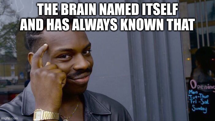 Think about ittt | THE BRAIN NAMED ITSELF AND HAS ALWAYS KNOWN THAT | image tagged in memes,roll safe think about it | made w/ Imgflip meme maker