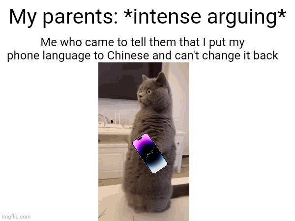 Idk what to put here | My parents: *intense arguing*; Me who came to tell them that I put my phone language to Chinese and can't change it back | image tagged in parents,arguing,phone,chinese | made w/ Imgflip meme maker