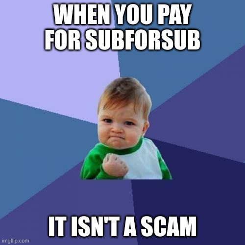Success Kid | WHEN YOU PAY FOR SUBFORSUB; IT ISN'T A SCAM | image tagged in memes,success kid | made w/ Imgflip meme maker