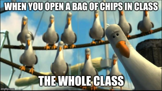 meme | WHEN YOU OPEN A BAG OF CHIPS IN CLASS; THE WHOLE CLASS | image tagged in nemo seagulls mine | made w/ Imgflip meme maker