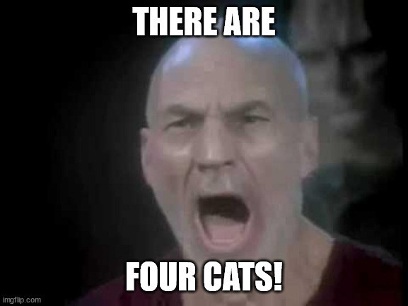 Picard Four Lights | THERE ARE; FOUR CATS! | image tagged in picard four lights | made w/ Imgflip meme maker