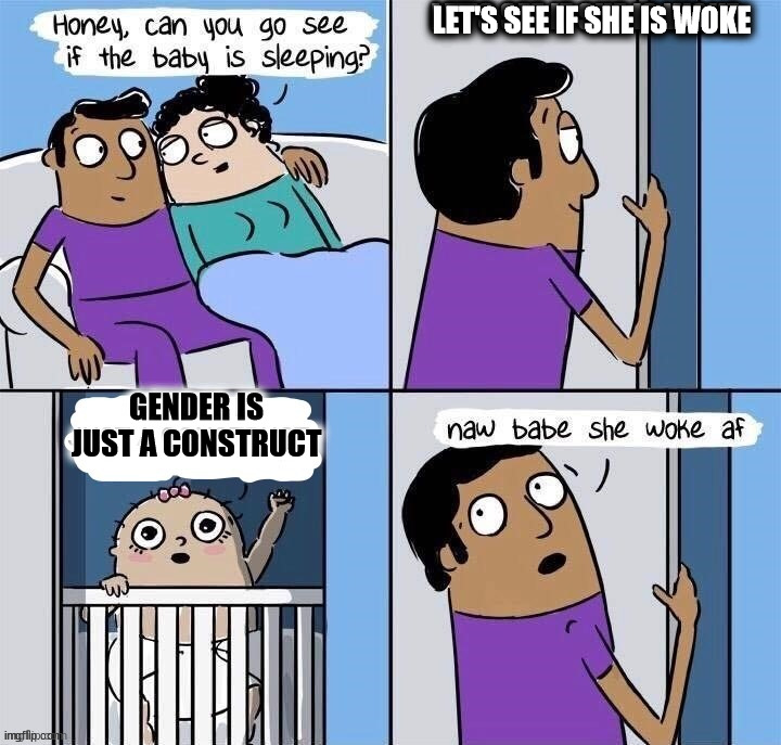 LET'S SEE IF SHE IS WOKE; GENDER IS JUST A CONSTRUCT | made w/ Imgflip meme maker